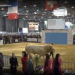 Targi ANIMAL TECH w czeskim Brnie są odpowiedzią na zapotrzebowanie ze strony firm z branży maszyn i technologii do produkcji zwierząt hodowlanych